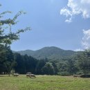 준기목장 이미지