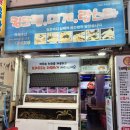 [성남/상대원맛집] 킹크랩, 대게 맛집 &#34;죽해수산&#34; 내돈내산 후기