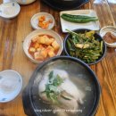 춘산오가피삼계탕 이미지