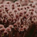 동구노인요양원 이미지