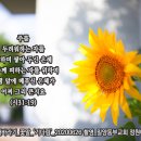 동부교회 앞 Daum카페