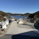 포레스트 G2 이미지