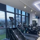 준토스핏 이미지