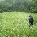 민들레2농장 이미지