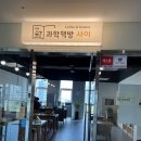 과학책방사이
