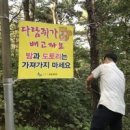 다람쥐신발 이미지