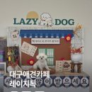현풍애견카페 대구실내애견카페 레이지독