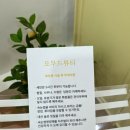 오무드뷰티