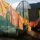 칠보초교 이미지