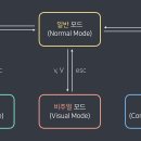 VIM 이미지