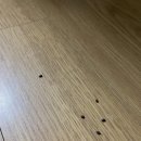 경자농장 이미지