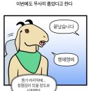 다소미 이미지