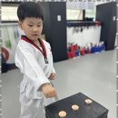 신세계태권도장 네이버블로그