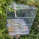 24097_원영화남아파트 | 황혼에서 새벽까지 오늘이 가면 안 올 걸 알지