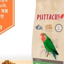 브리더스 퀄리티 이미지