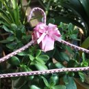 동화세탁소 이미지