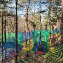 흥림산자연휴양림 이미지