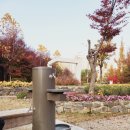 청계중앙공원 2 이미지