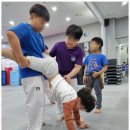 성신 태권도 이미지