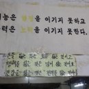와룡복싱 이미지