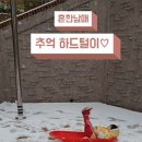 중랑숲어린이도서관 이미지