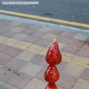달콤왕가탕후루동탄 네이버블로그