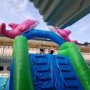 강릉어린이수영교실 이미지