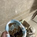 까까멍펫푸드 이미지