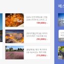 롯데관광여행사 - 김제시 중앙로 86 | 롯데관광여행사