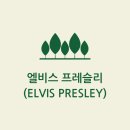 &#39;엘비스 프레슬리 (Elvis Presley)&#39;생애,업적,명언,어록인생은 고통이야 2023. 7. 5. 이미지