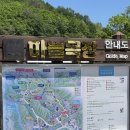 대관령 하늘목장 애견동반, 강아지와 함께 강원도 여행 다녀오기
