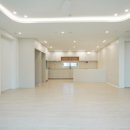 죽동 금성백조 이미지