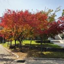 한내근린공원(소하1동주민센터) 이미지