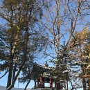 반구정습지 이미지