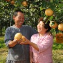 김순남 농장 이미지