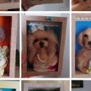 쁘띠댕댕 이미지