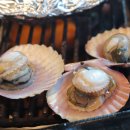 노랑등대 앞 | 오이도 조개구이 맛집 반해버린 조개포차 후기