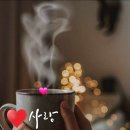 건강사랑 이미지