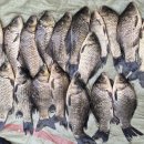 대박낚시터 이미지