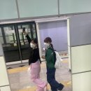 루시드비버 | 치맥페 갔다 옴