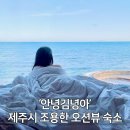 11500-19-71-14 | [공지] [제주도 여행] 제주시 구좌읍 "안녕김녕아" 조용한 오션뷰 숙소 내돈내산 / 제주도 동쪽 2박3일...