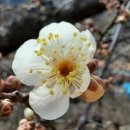 (주)벌집
