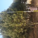 백송농장 이미지