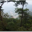 밤재 등산로 이미지