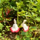 태원 유람선선착장 입구 이미지