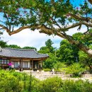 유계초등학교 | 논산명재고택(論山明齋古宅)