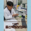 울산독일보청기 이미지