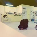 멍멍이다방 이미지