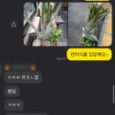 꾸미자화장품