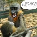 꿈꾸는 계곡펜션 이미지